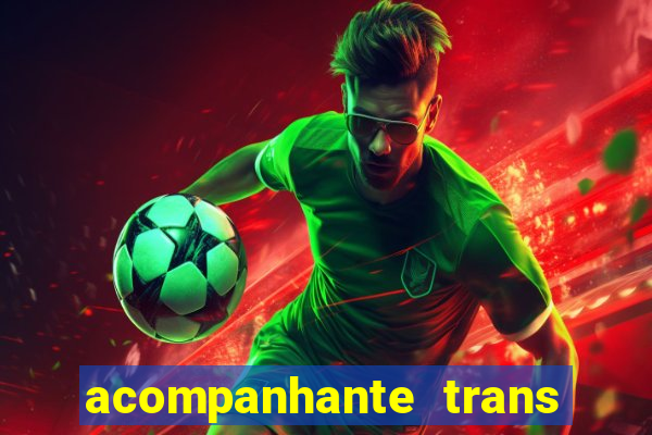 acompanhante trans baixada fluminense